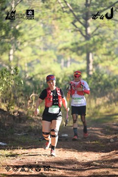 Dalat Ultra Trail 2026 - Ảnh #4878677