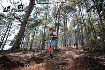 Dalat Ultra Trail 2026 - Ảnh #4739238