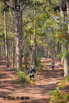 Dalat Ultra Trail 2026 - Ảnh #4913359