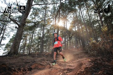 Dalat Ultra Trail 2026 - Ảnh #4740083