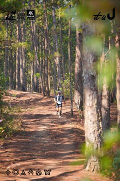 Dalat Ultra Trail 2026 - Ảnh #4913364