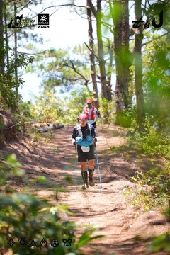 Dalat Ultra Trail 2026 - Ảnh #4913053