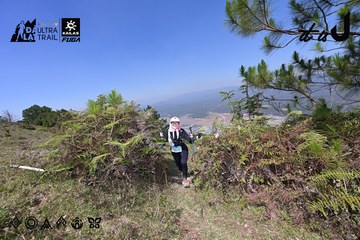 Dalat Ultra Trail 2026 - Ảnh #4733013