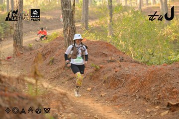 Dalat Ultra Trail 2026 - Ảnh #4841914