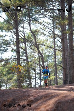 Dalat Ultra Trail 2026 - Ảnh #4913256