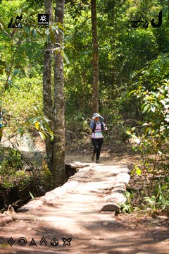 Dalat Ultra Trail 2026 - Ảnh #4908612
