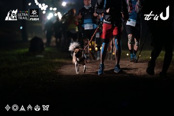 Dalat Ultra Trail 2026 - Ảnh #4716737
