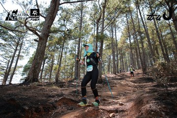 Dalat Ultra Trail 2026 - Ảnh #4739050