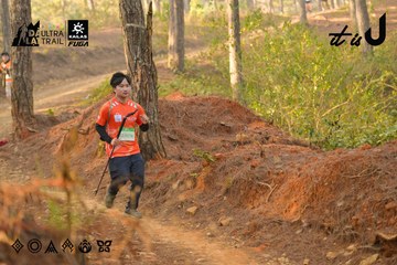 Dalat Ultra Trail 2026 - Ảnh #4842428