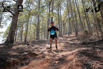 Dalat Ultra Trail 2026 - Ảnh #4738717