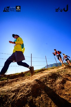 Dalat Ultra Trail 2026 - Ảnh #4912721