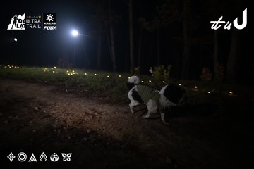 Dalat Ultra Trail 2026 - Ảnh #4704906