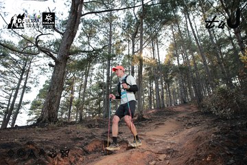 Dalat Ultra Trail 2026 - Ảnh #4740176