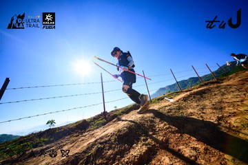 Dalat Ultra Trail 2026 - Ảnh #4912770