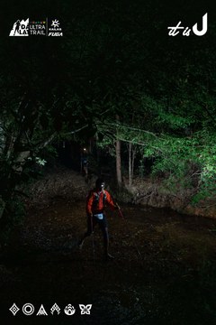 Dalat Ultra Trail 2026 - Ảnh #4907175