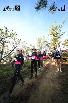 Dalat Ultra Trail 2026 - Ảnh #4910761