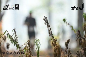Dalat Ultra Trail 2026 - Ảnh #4706270