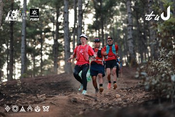 Dalat Ultra Trail 2026 - Ảnh #4741079