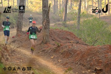 Dalat Ultra Trail 2026 - Ảnh #4841599