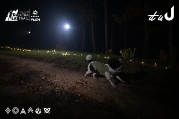 Dalat Ultra Trail 2026 - Ảnh #4704908