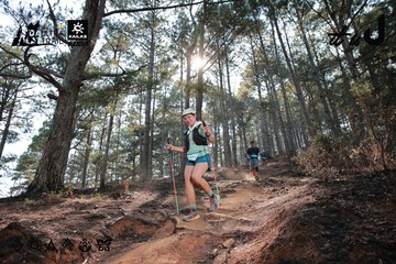 Dalat Ultra Trail 2026 - Ảnh #4739873