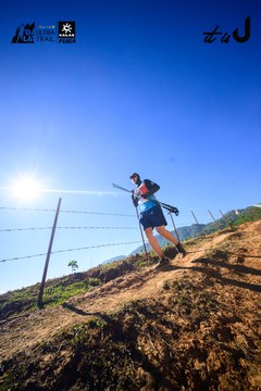 Dalat Ultra Trail 2026 - Ảnh #4912667