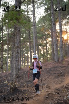 Dalat Ultra Trail 2026 - Ảnh #4913560