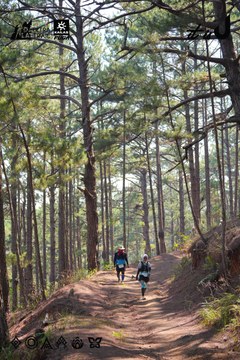 Dalat Ultra Trail 2026 - Ảnh #4913264