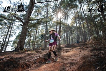 Dalat Ultra Trail 2026 - Ảnh #4739810