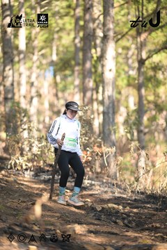 Dalat Ultra Trail 2026 - Ảnh #4878958