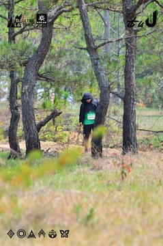 Dalat Ultra Trail 2026 - Ảnh #4876222