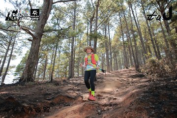 Dalat Ultra Trail 2026 - Ảnh #4738991