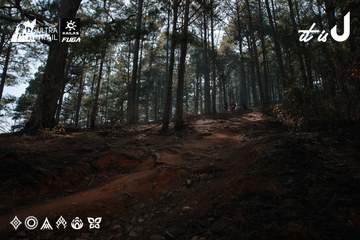 Dalat Ultra Trail 2026 - Ảnh #4739506