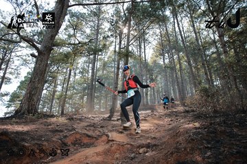 Dalat Ultra Trail 2026 - Ảnh #4739704