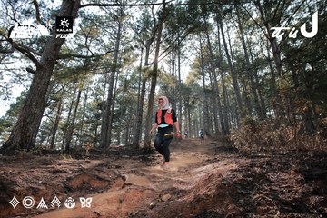 Dalat Ultra Trail 2026 - Ảnh #4739941