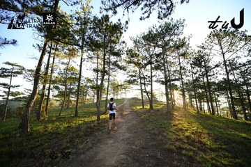 Dalat Ultra Trail 2026 - Ảnh #4909685