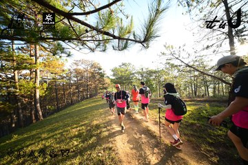 Dalat Ultra Trail 2026 - Ảnh #4910701