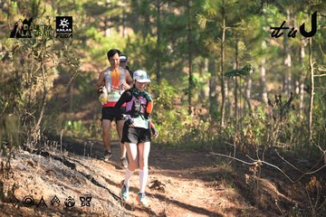 Dalat Ultra Trail 2026 - Ảnh #4878430