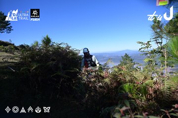 Dalat Ultra Trail 2026 - Ảnh #4731448