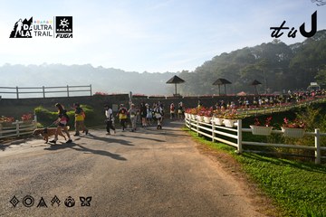 Dalat Ultra Trail 2026 - Ảnh #4911360
