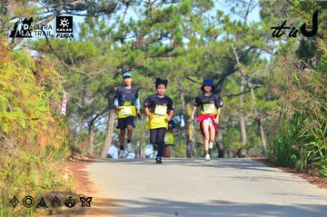 Dalat Ultra Trail 2026 - Ảnh #4781059