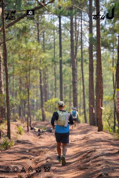 Dalat Ultra Trail 2026 - Ảnh #4913307