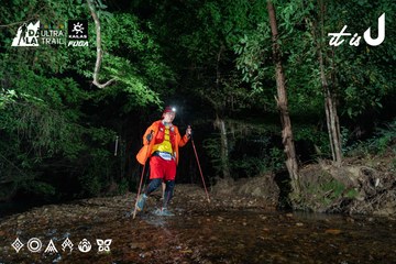 Dalat Ultra Trail 2026 - Ảnh #4907018