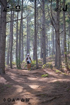 Dalat Ultra Trail 2026 - Ảnh #4913249