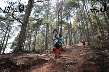 Dalat Ultra Trail 2026 - Ảnh #4739203