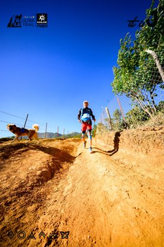 Dalat Ultra Trail 2026 - Ảnh #4912661