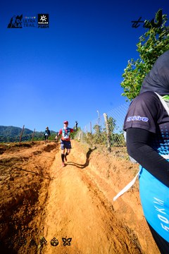 Dalat Ultra Trail 2026 - Ảnh #4912753