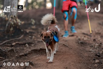 Dalat Ultra Trail 2026 - Ảnh #4741223
