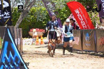 Dalat Ultra Trail 2026 - Ảnh #4699617
