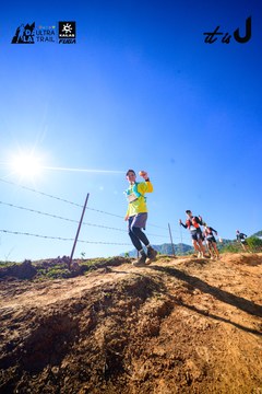 Dalat Ultra Trail 2026 - Ảnh #4912717
